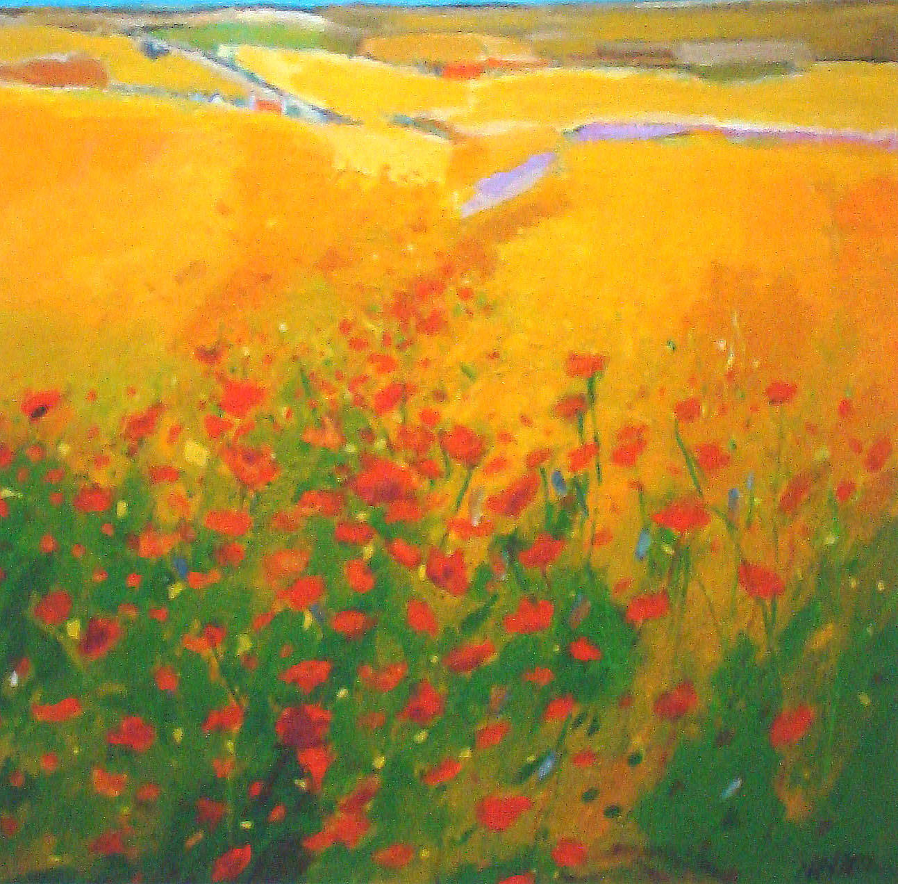Print of Harvest Poppies by John Nelson